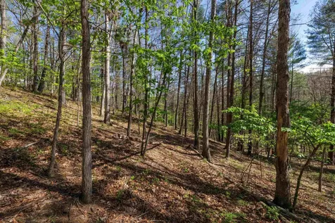 Tbd Camp Hollow Lane Fulks Run VA 22830