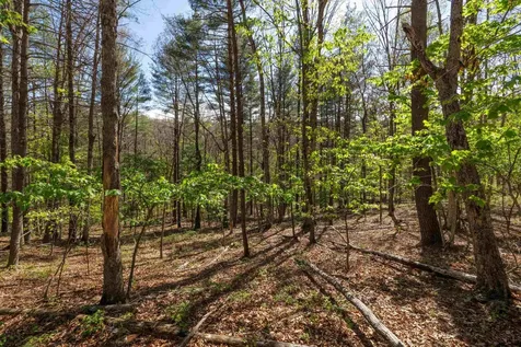 Tbd Camp Hollow Lane Fulks Run VA 22830