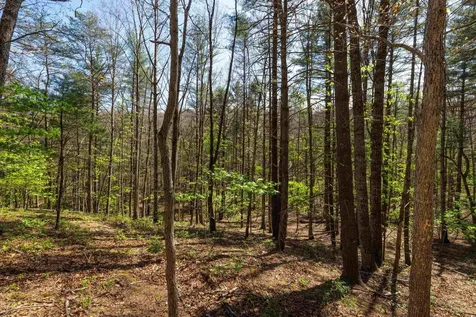 Tbd Camp Hollow Lane Fulks Run VA 22830