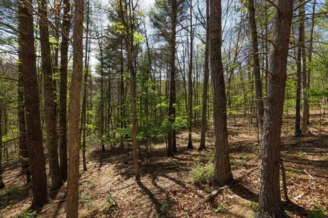 Tbd Camp Hollow Lane Fulks Run VA 22830