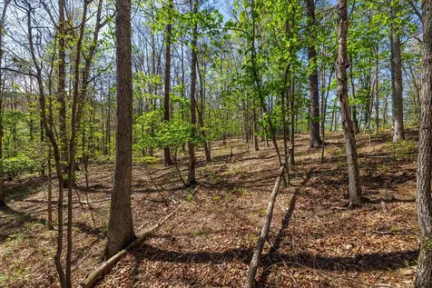Tbd Camp Hollow Lane Fulks Run VA 22830