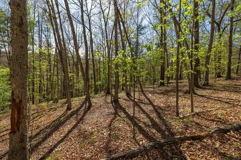 Tbd Camp Hollow Lane Fulks Run VA 22830