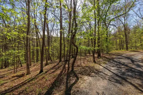 Tbd Camp Hollow Lane Fulks Run VA 22830