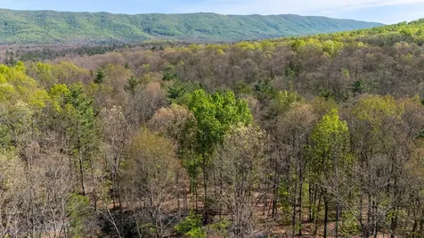 Tbd Camp Hollow Lane Fulks Run VA 22830