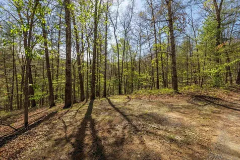 Tbd Camp Hollow Lane Fulks Run VA 22830