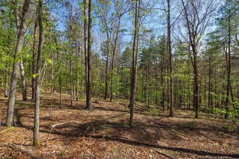 Tbd Camp Hollow Lane Fulks Run VA 22830