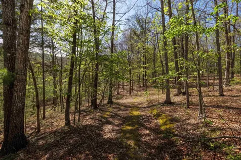Tbd Camp Hollow Lane Fulks Run VA 22830