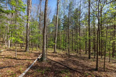 Tbd Camp Hollow Lane Fulks Run VA 22830