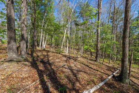 Tbd Camp Hollow Lane Fulks Run VA 22830