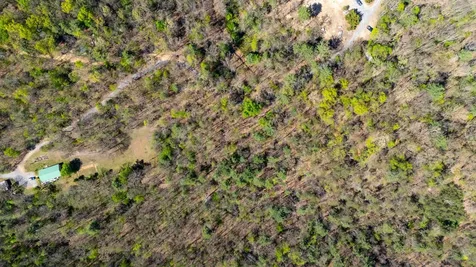 Tbd Camp Hollow Lane Fulks Run VA 22830