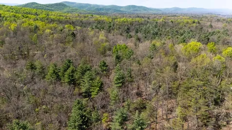 Tbd Camp Hollow Lane Fulks Run VA 22830