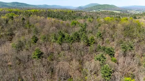 Tbd Camp Hollow Lane Fulks Run VA 22830