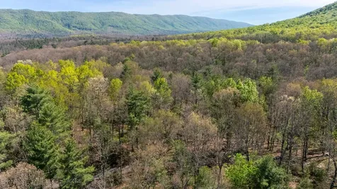 Tbd Camp Hollow Lane Fulks Run VA 22830