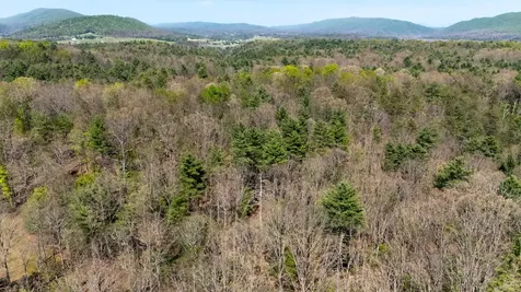 Tbd Camp Hollow Lane Fulks Run VA 22830