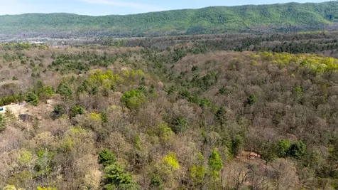 Tbd Camp Hollow Lane Fulks Run VA 22830