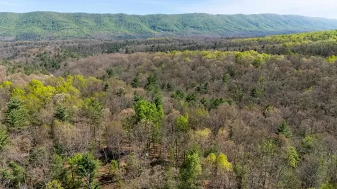 Tbd Camp Hollow Lane Fulks Run VA 22830
