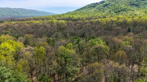 Tbd Camp Hollow Lane Fulks Run VA 22830