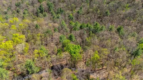Tbd Camp Hollow Lane Fulks Run VA 22830