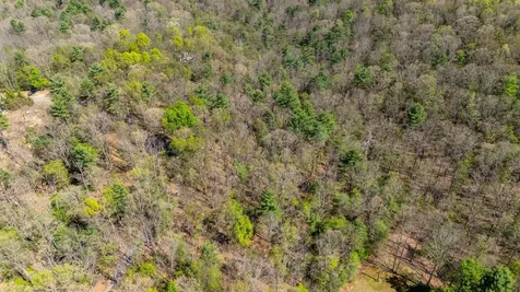Tbd Camp Hollow Lane Fulks Run VA 22830