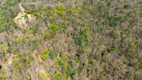 Tbd Camp Hollow Lane Fulks Run VA 22830