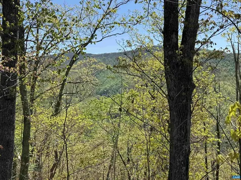 Tbd Fox Ridge Lane Waynesboro VA 22980