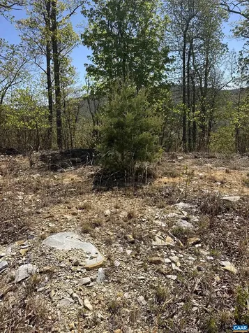 Lot #5 Fox Ridge Lane Waynesboro VA 22980