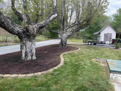 64 Augusta Springs Road Craigsville VA 24401