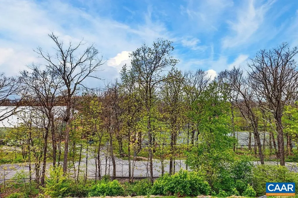 3232 North Ridge Condos Roseland VA 22967