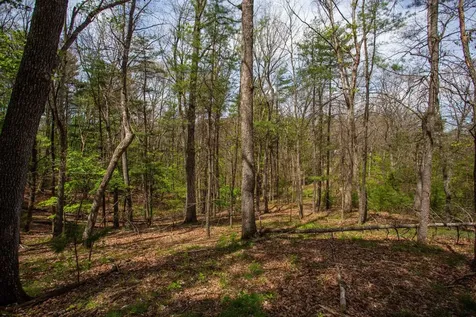 324 Mountaintop Drive Mathias WV 26812
