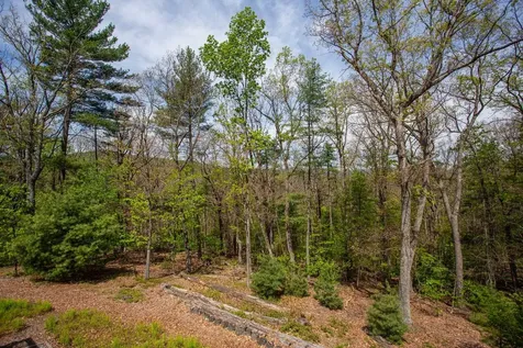 324 Mountaintop Drive Mathias WV 26812