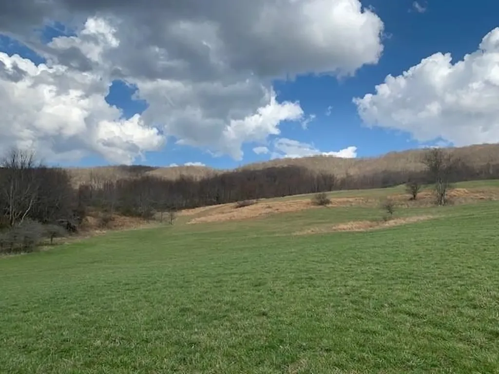 Tbd Big Valley Road Monterey VA 24465