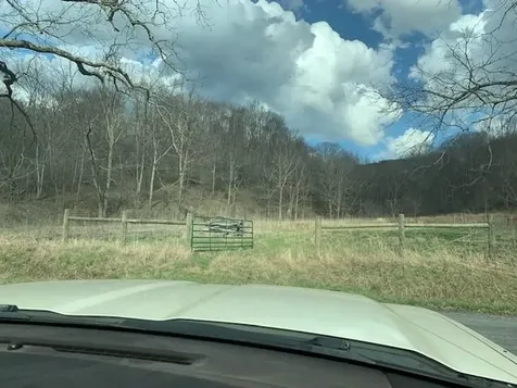Tbd Big Valley Road Monterey VA 24465