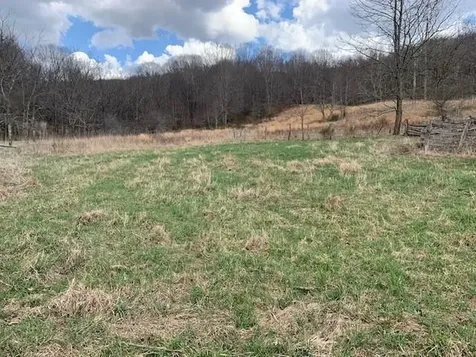 Tbd Big Valley Road Monterey VA 24465