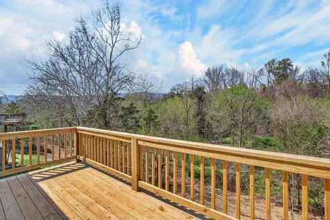 254 Locustdale Loop Shenandoah VA 22849