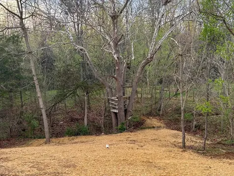 244 Locustdale Loop Shenandoah VA 22849