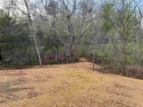 244 Locustdale Loop Shenandoah VA 22849