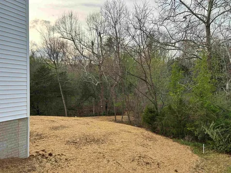 244 Locustdale Loop Shenandoah VA 22849