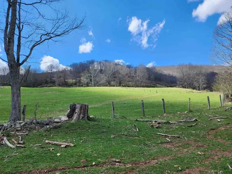 3356 Jackson River Road Monterey VA 24465