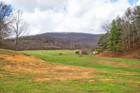 3356 Jackson River Road Monterey VA 24465