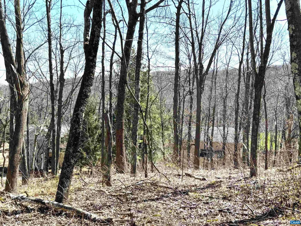 433 Laurel Springs Drive Wintergreen Resort VA 22967