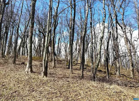 433 Laurel Springs Drive Wintergreen Resort VA 22967