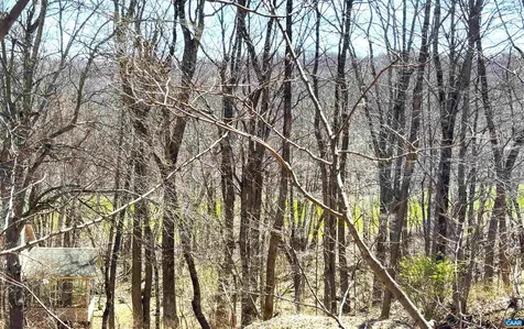 433 Laurel Springs Drive Wintergreen Resort VA 22967