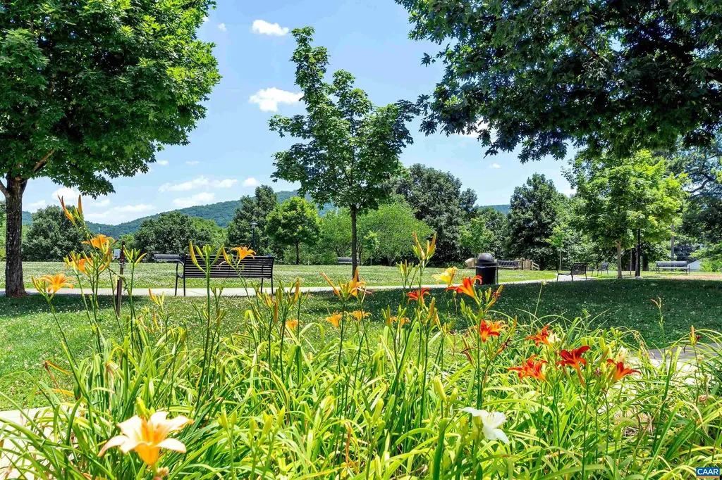 502 Druid Avenue Charlottesville VA 22902