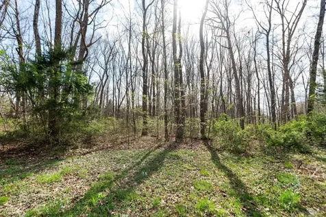 Lot 4 Lake Drive Crimora VA 24431