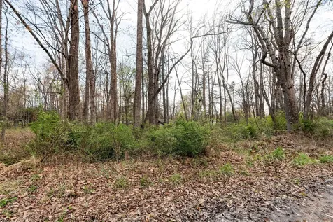 Lot 17 Lake Drive Crimora VA 24431