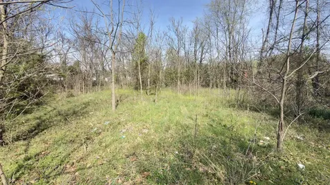 Tbd Odell Drive Crimora VA 24431