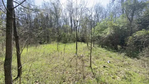 Tbd Odell Drive Crimora VA 24431