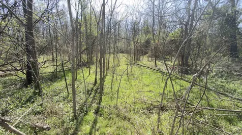 Tbd Odell Drive Crimora VA 24431