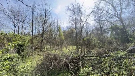 Tbd Odell Drive Crimora VA 24431