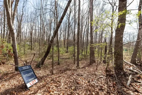 Lot 8 Lake Drive Crimora VA 24431